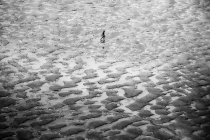 plage4_1200-c54