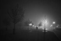 bdx_nuit