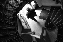 rui_palha